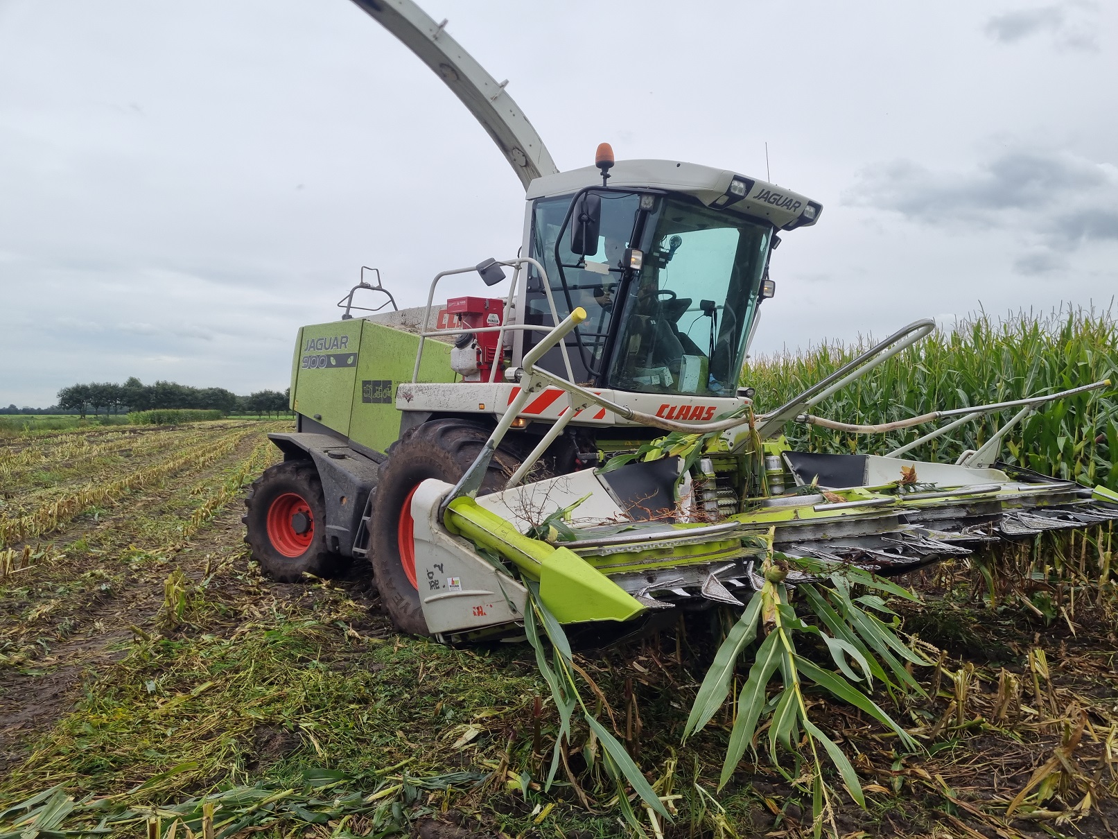 Claas Jaguar en maisbek