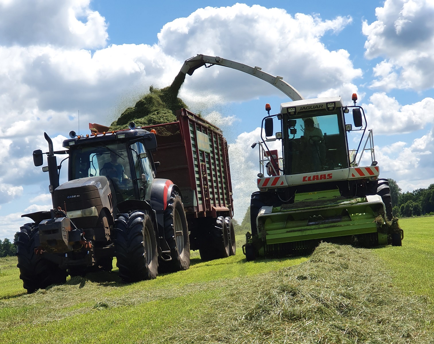 Gras hakselen Puma en Claas